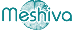 digital marketing meshiva-logo